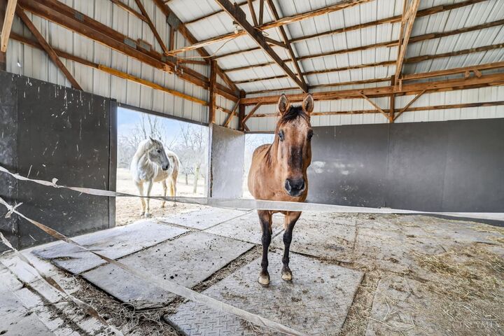 Horse in the 18-stall barn at the Stillwell Beckett equestrian estate