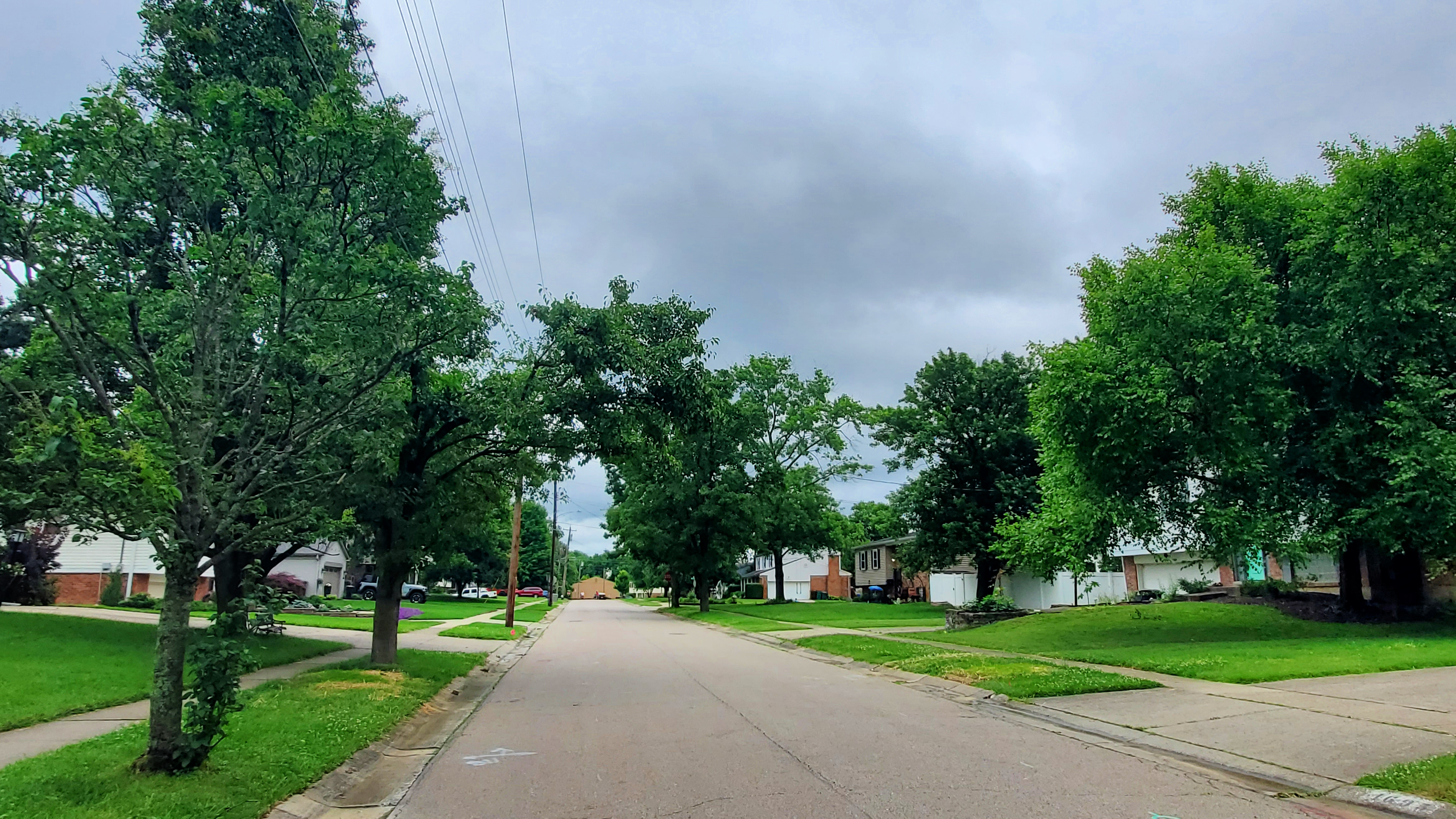 Fox Meadow Farm neighborhood