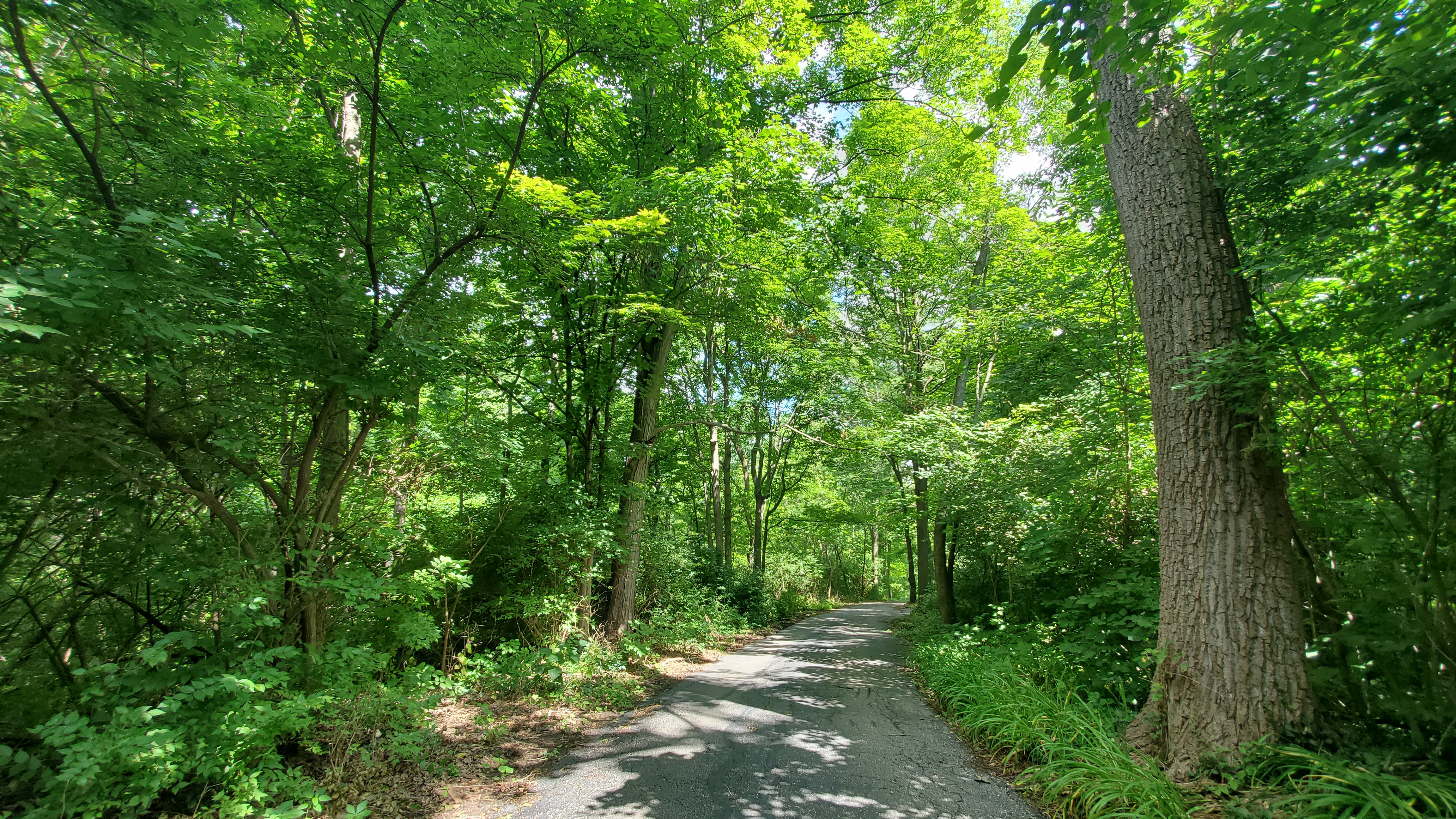 Indian Woods photo 3