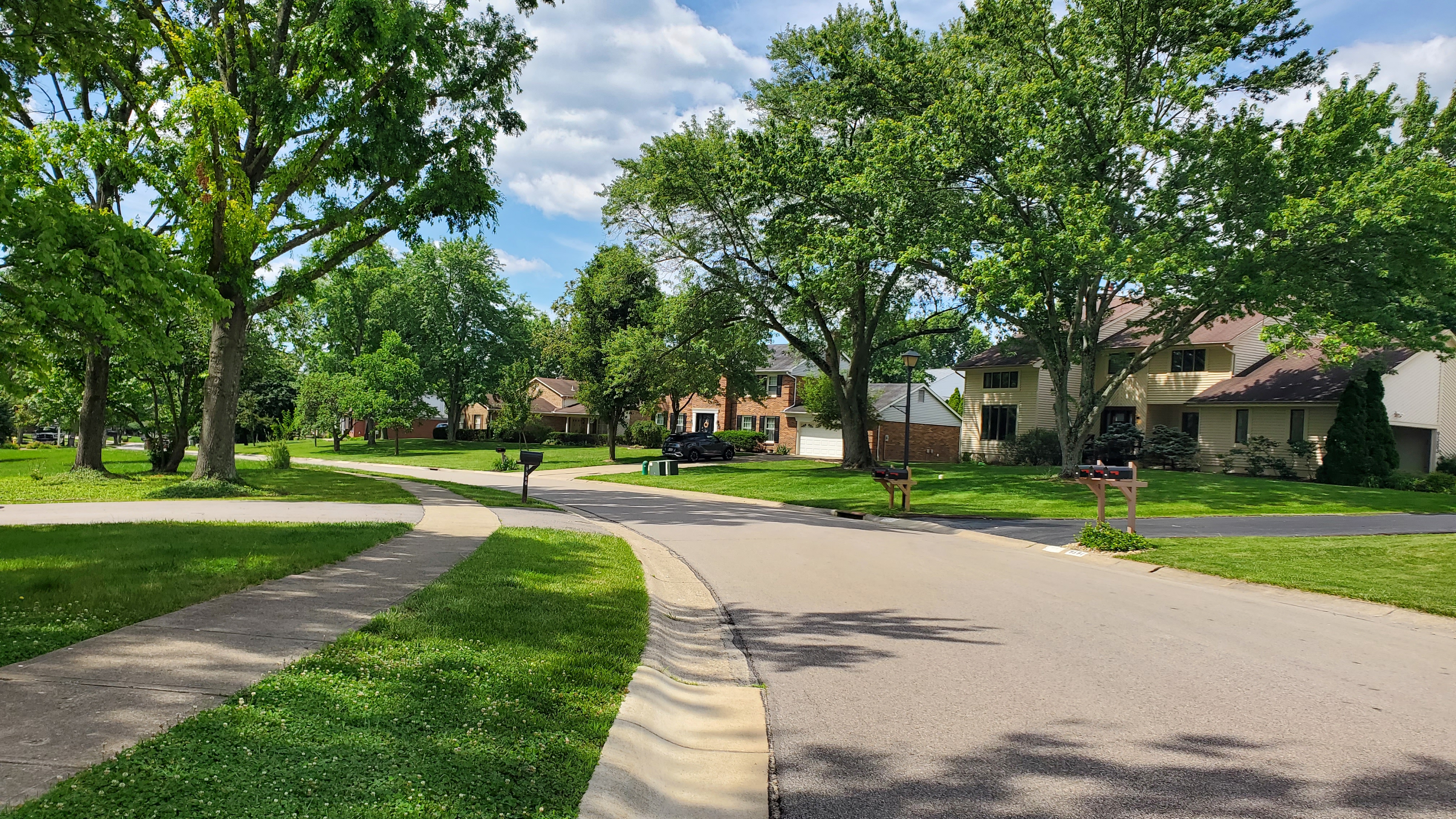 Sycamore Trace photo 3