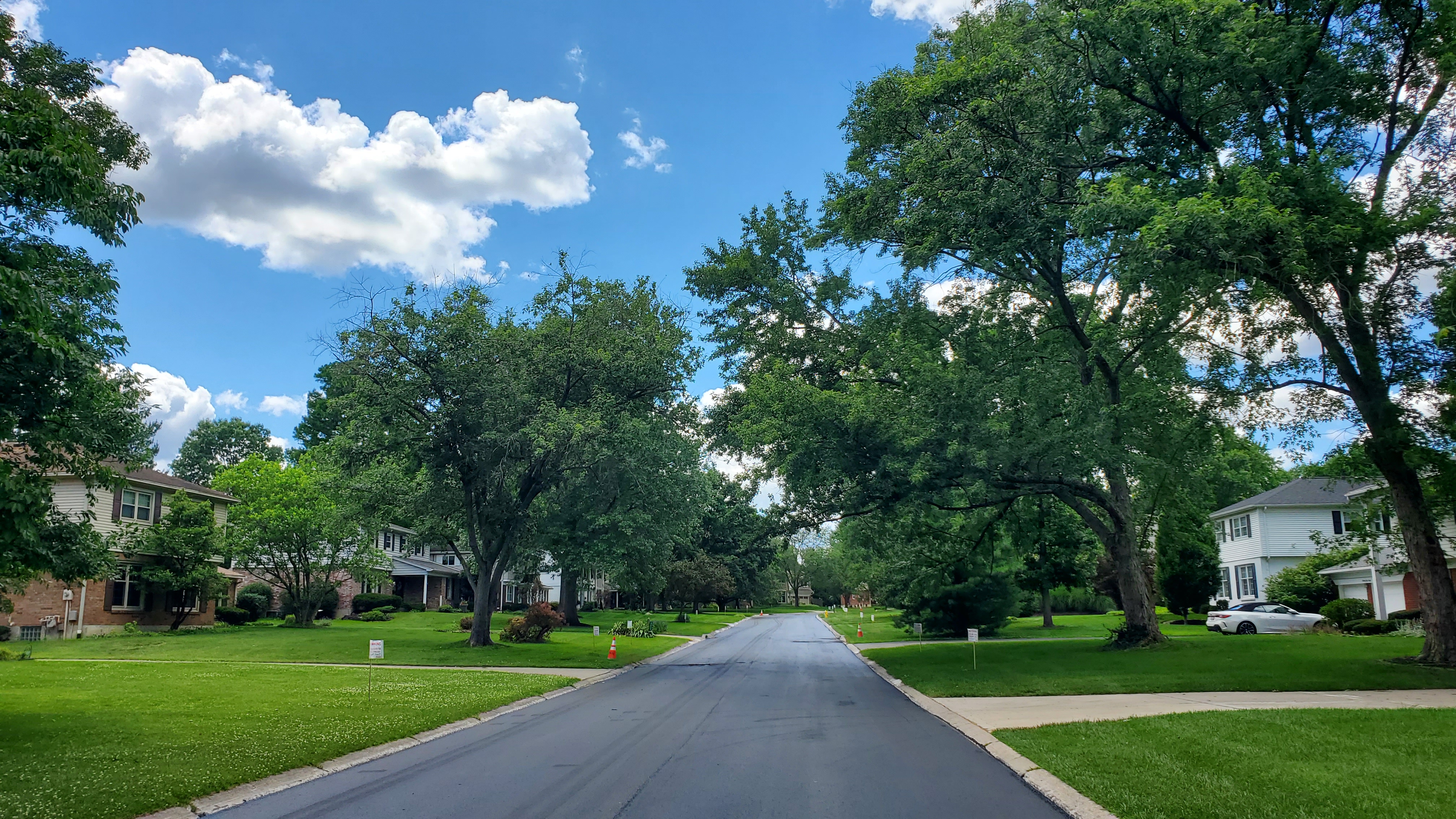Village Green photo 3