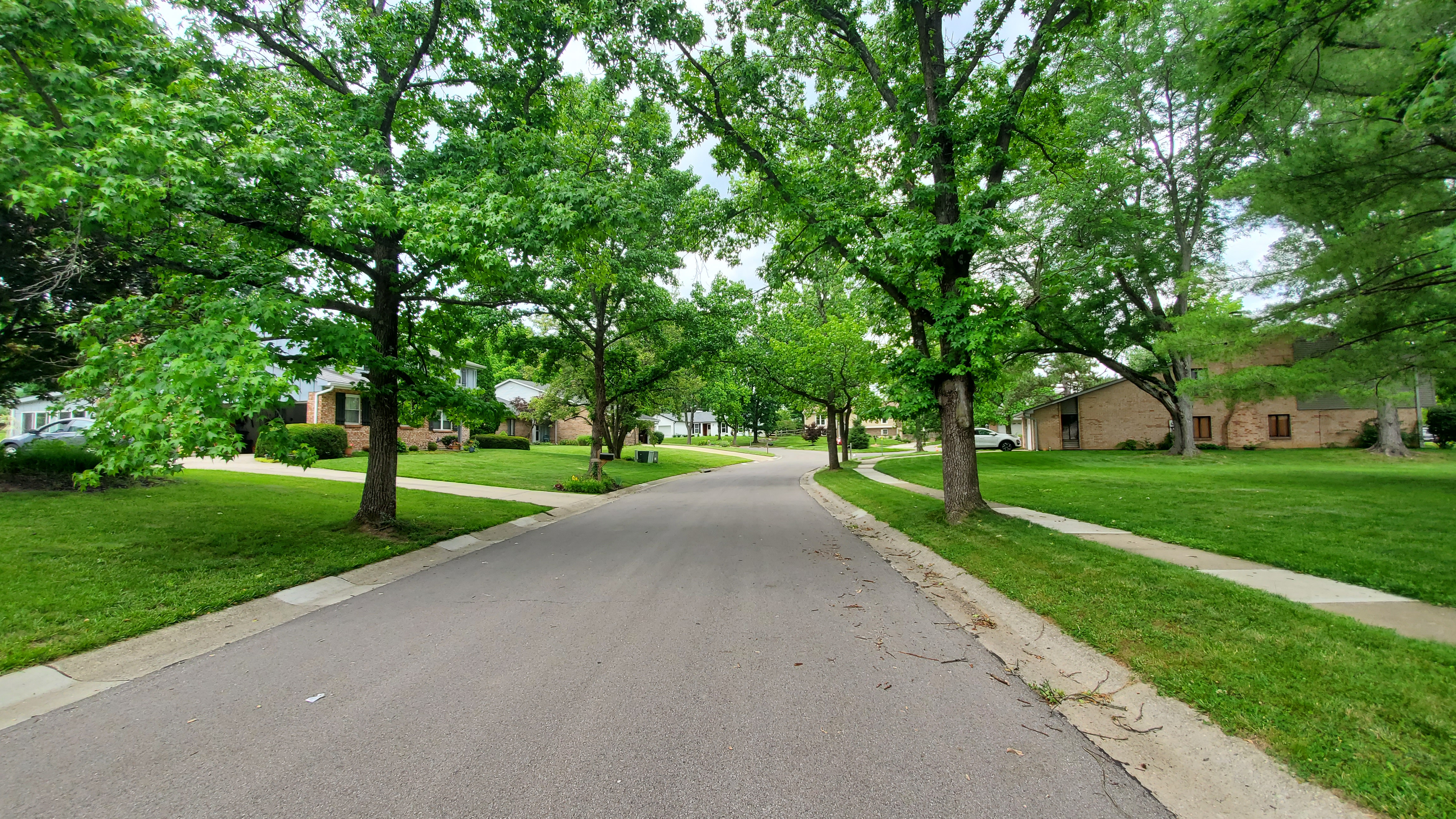 Woodfield photo 5